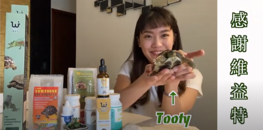 陸龜需要塗油嗎?龜仔保養品推薦!!